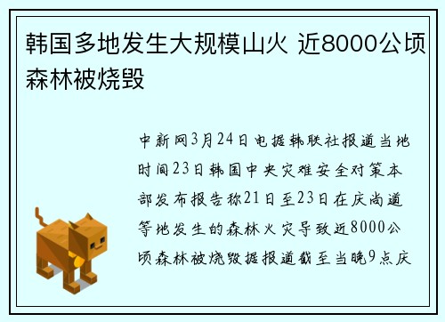 韩国多地发生大规模山火 近8000公顷森林被烧毁